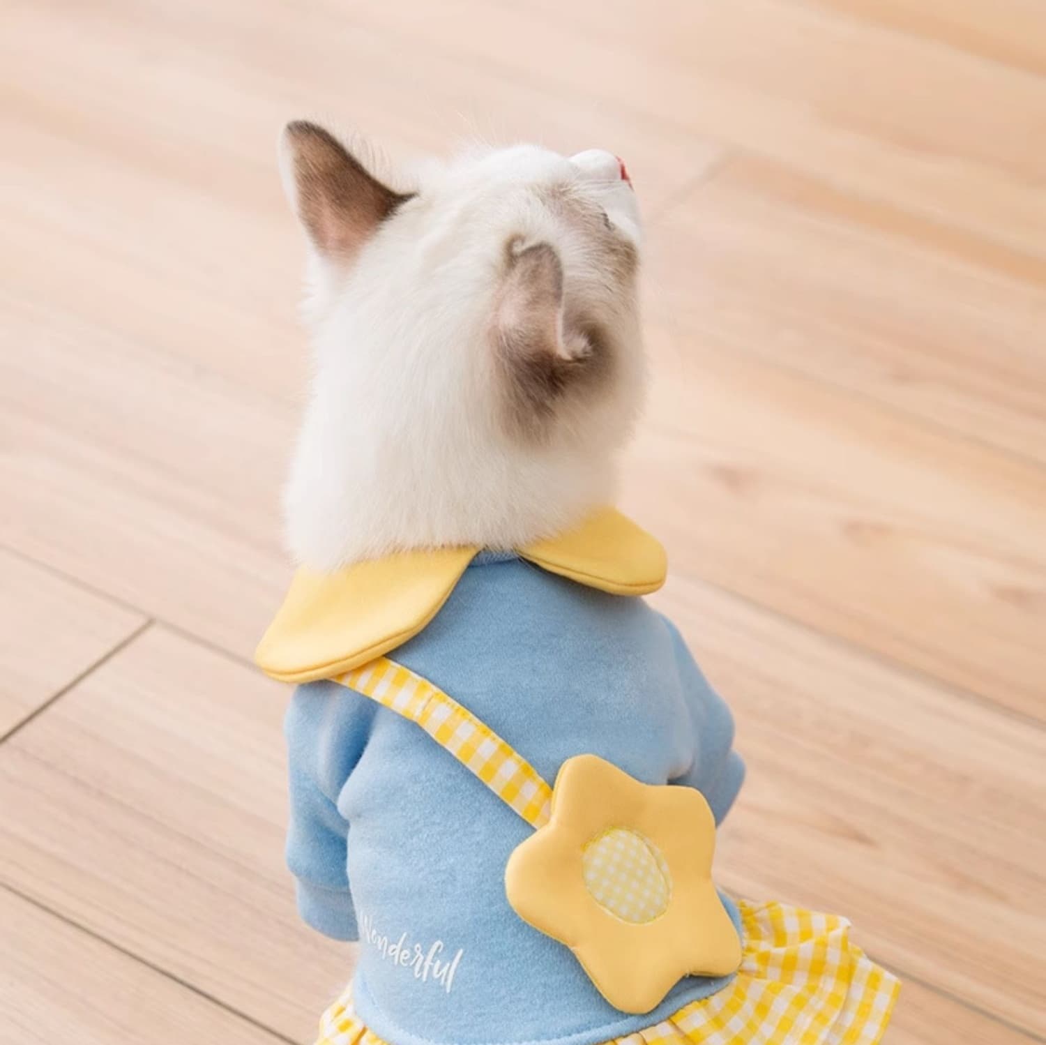 猫服 お花のセーラー襟スタイル