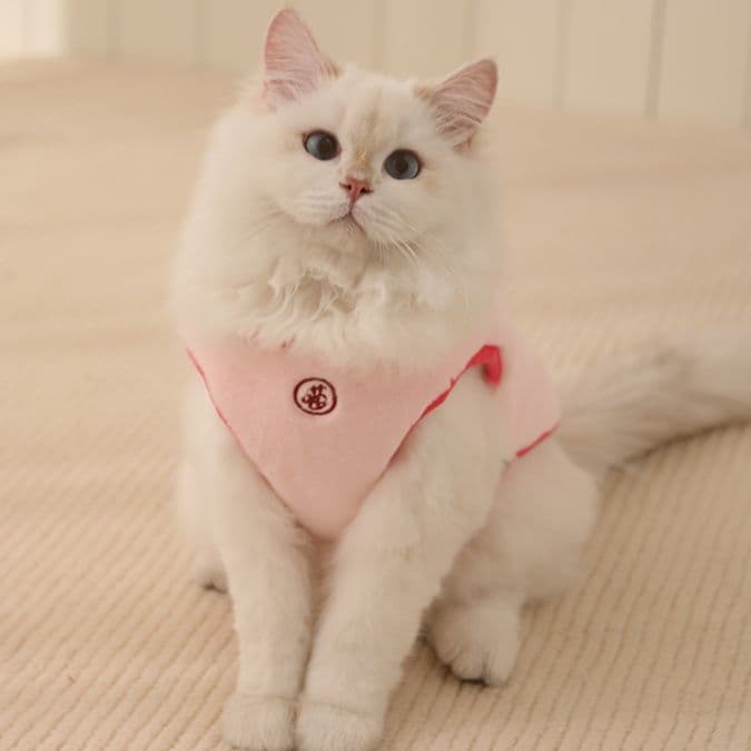 猫服  ふわもこ猫ちゃん防寒ベスト