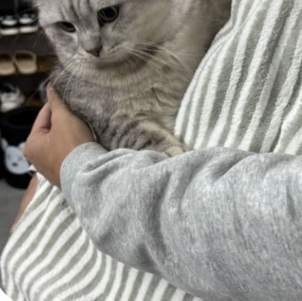 猫服  やさしい包み込み抱っこ服
