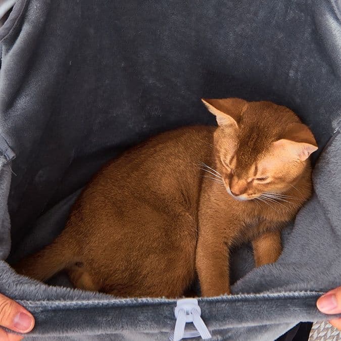 猫服  もふもふ包み込み抱っこポケット