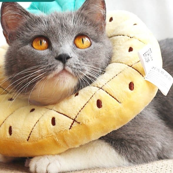 猫服  かわいい果物首まもり
