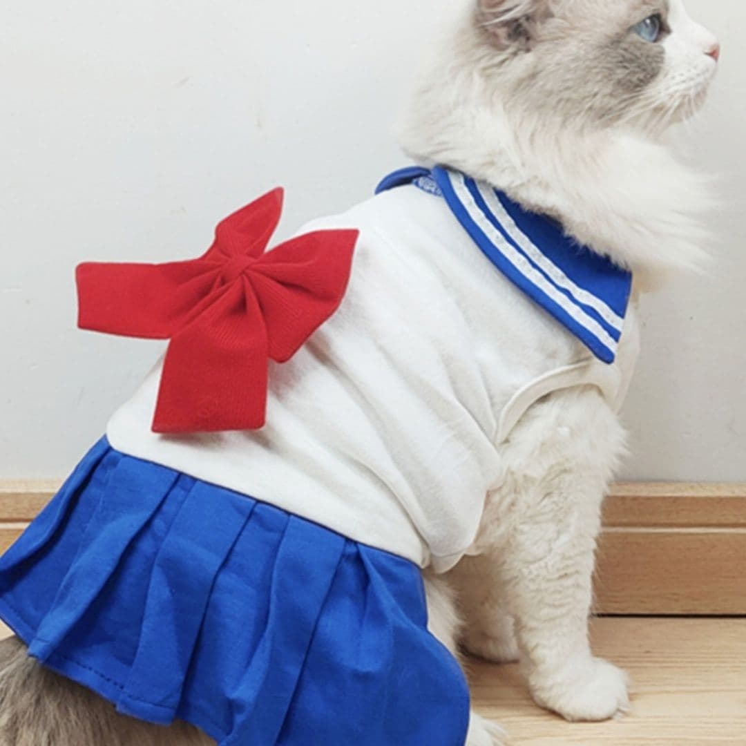 猫服  ふんわり制服リボン セーラー服