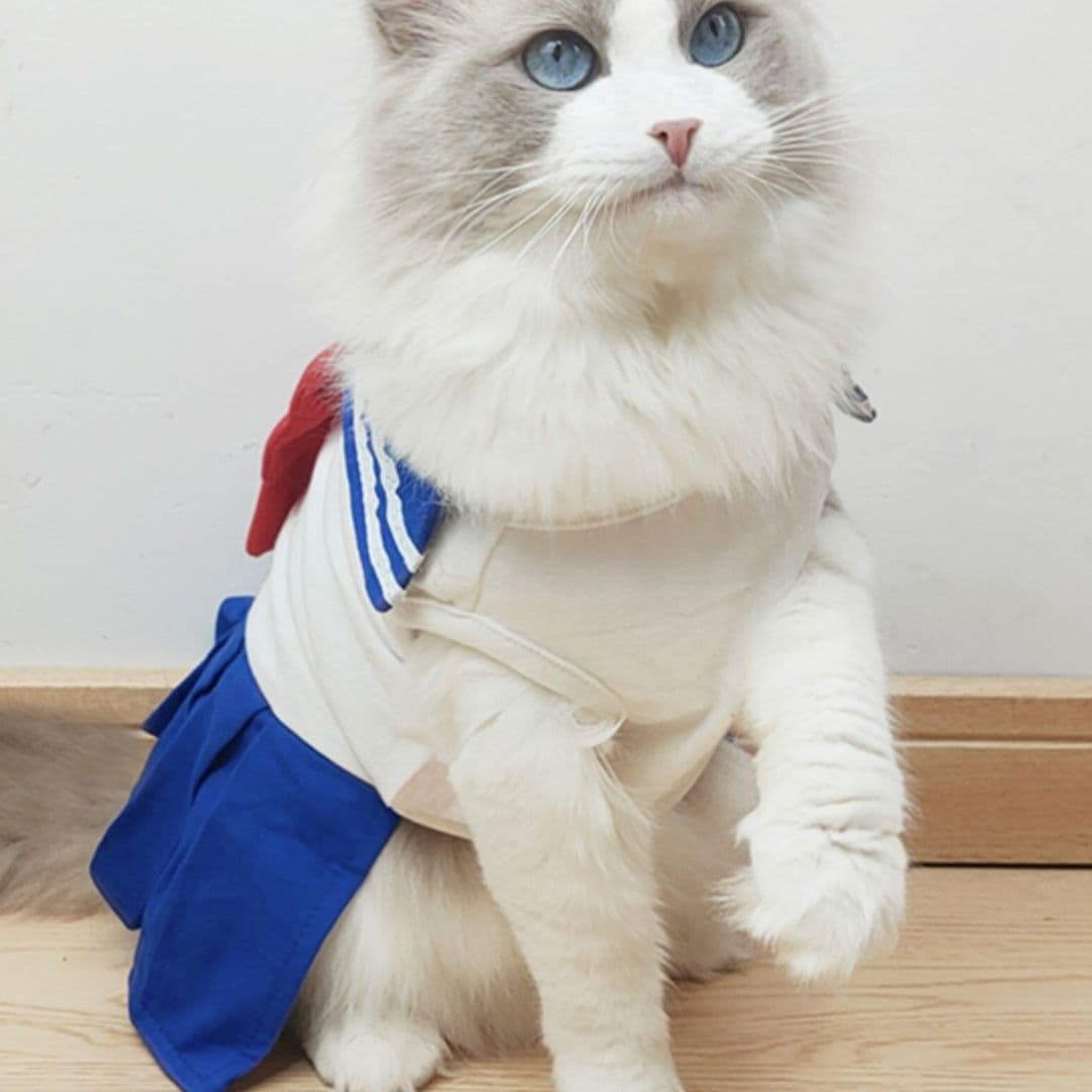 猫服  ふんわり制服リボン セーラー服