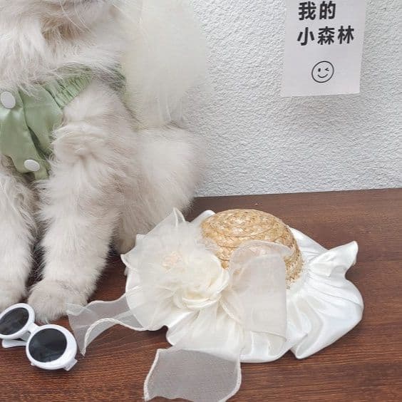 猫服  優雅な麦わら日よけ帽子