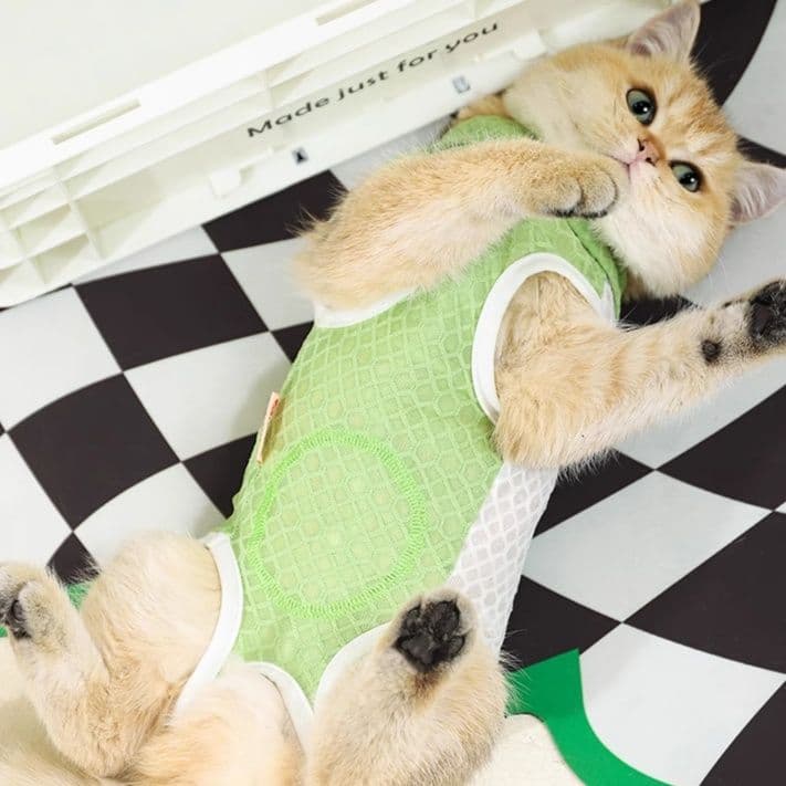 猫服  やさしい肌触り 安心術後ウェア