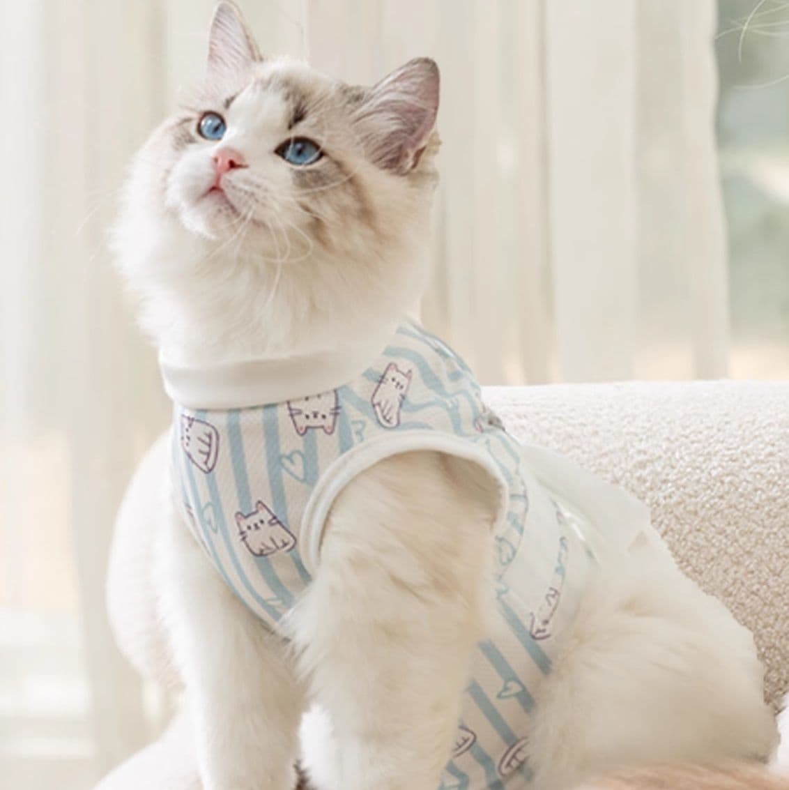 猫服  やすらぎ猫ちゃん術後服