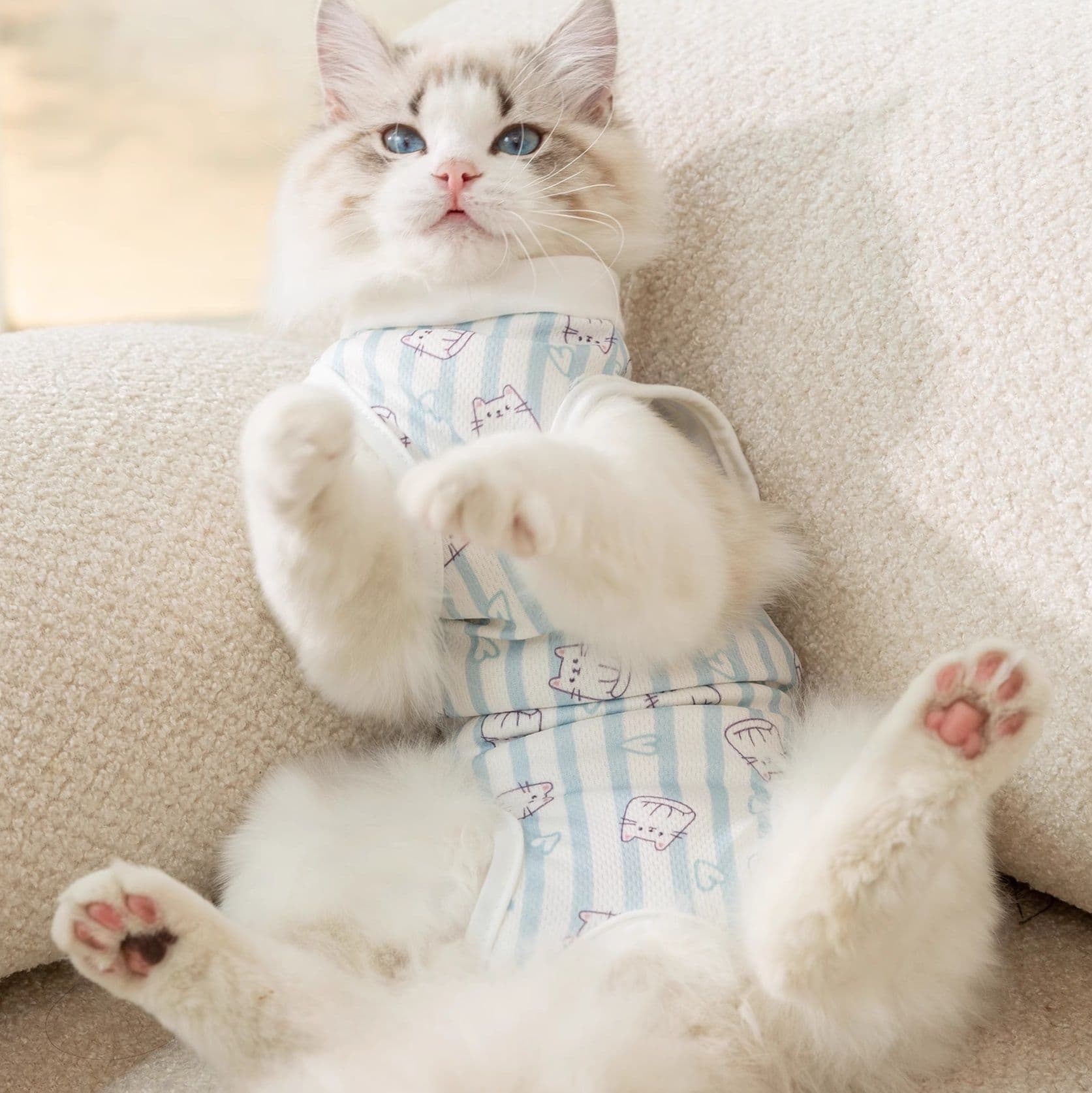 猫服  やすらぎ猫ちゃん術後服