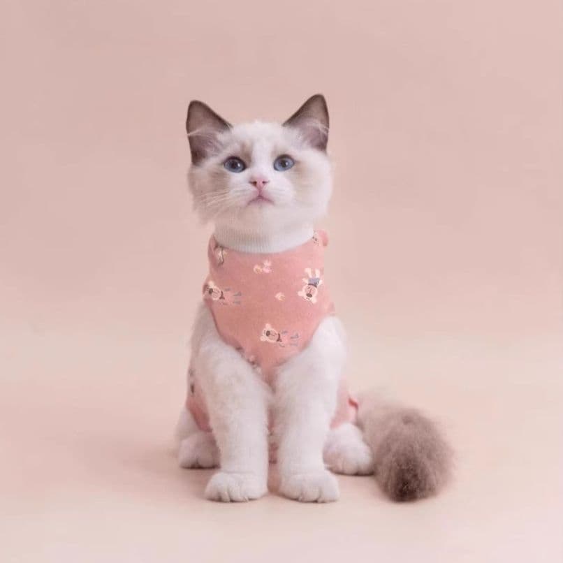 猫服  やさしい抱擁 術後ケア服
