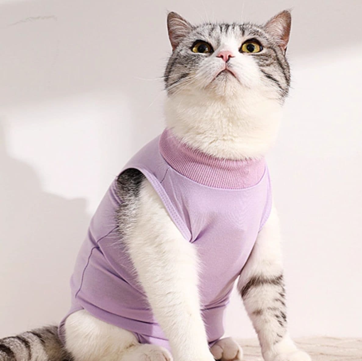 猫服  やさしい抱擁 猫用術後ウェア