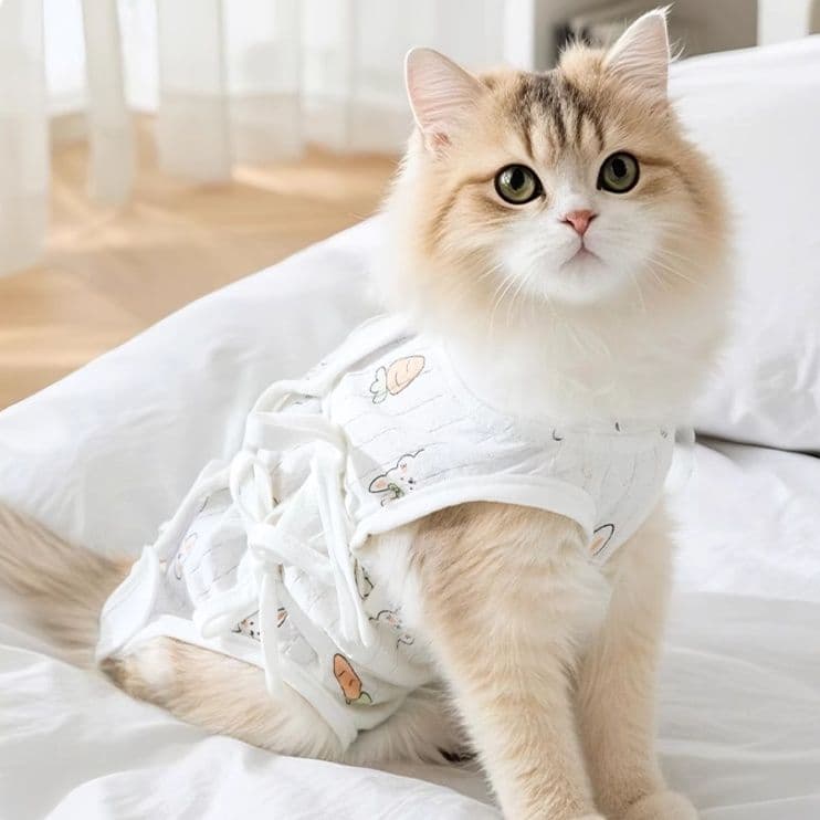 猫服  うさぎとにんじん 優しい術後ウェア
