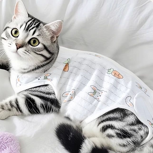 猫服  うさぎとにんじん 優しい術後ウェア