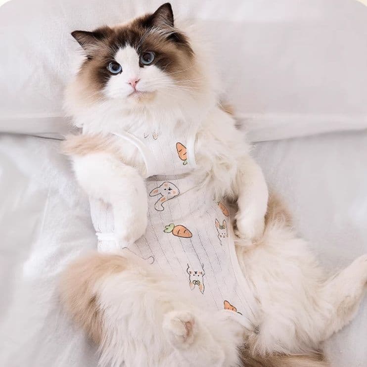 猫服  うさぎとにんじん 優しい術後ウェア