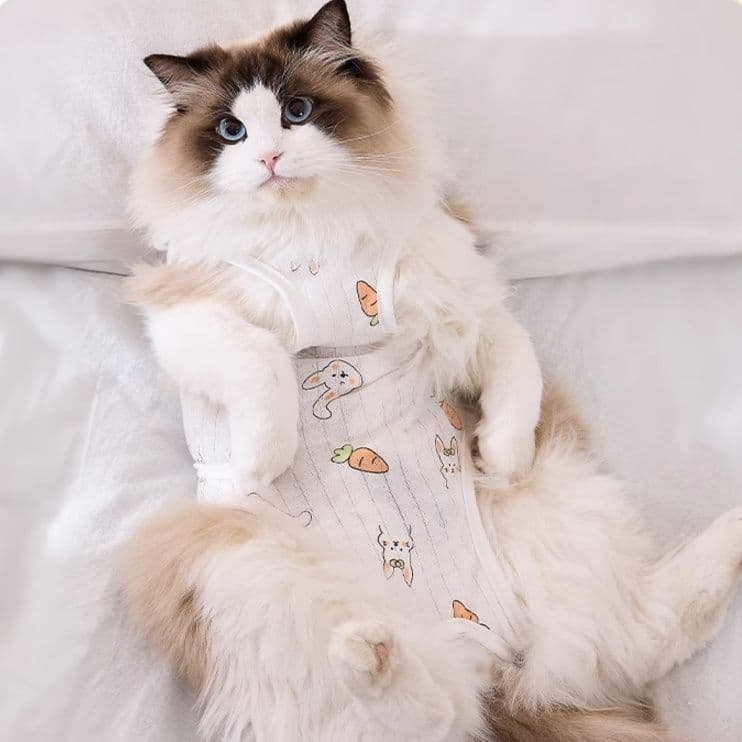 猫服  うさぎとにんじんの優しい術後服
