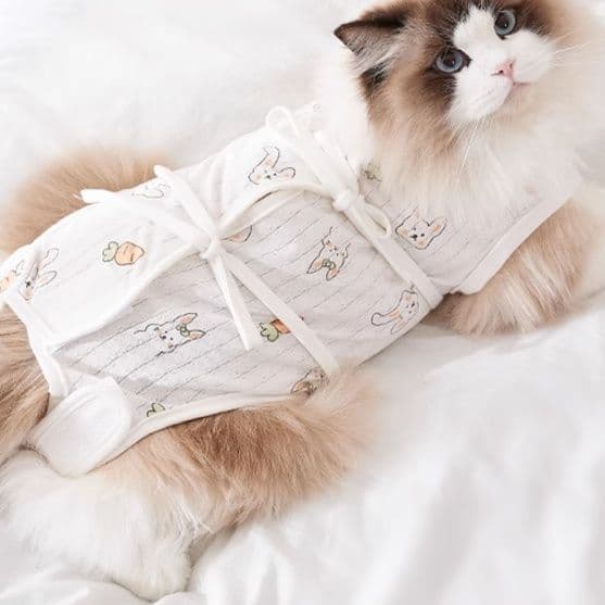 猫服  うさぎとにんじんの優しい術後服