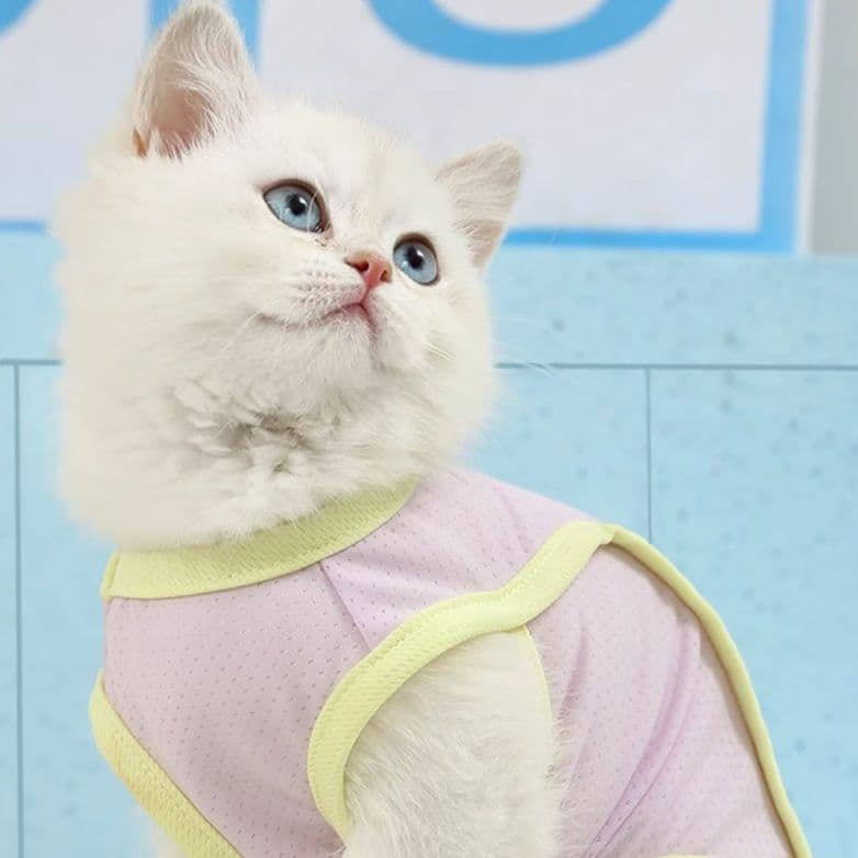 猫服  ふんわり優しいメッシュタンクトップ