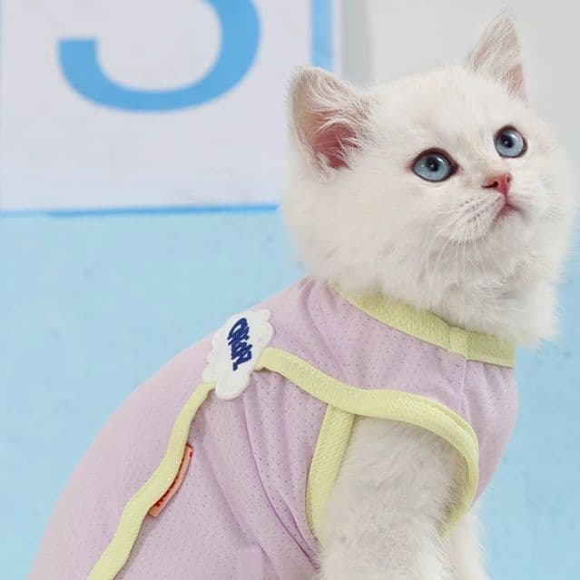 猫服  ふんわり優しいメッシュタンクトップ