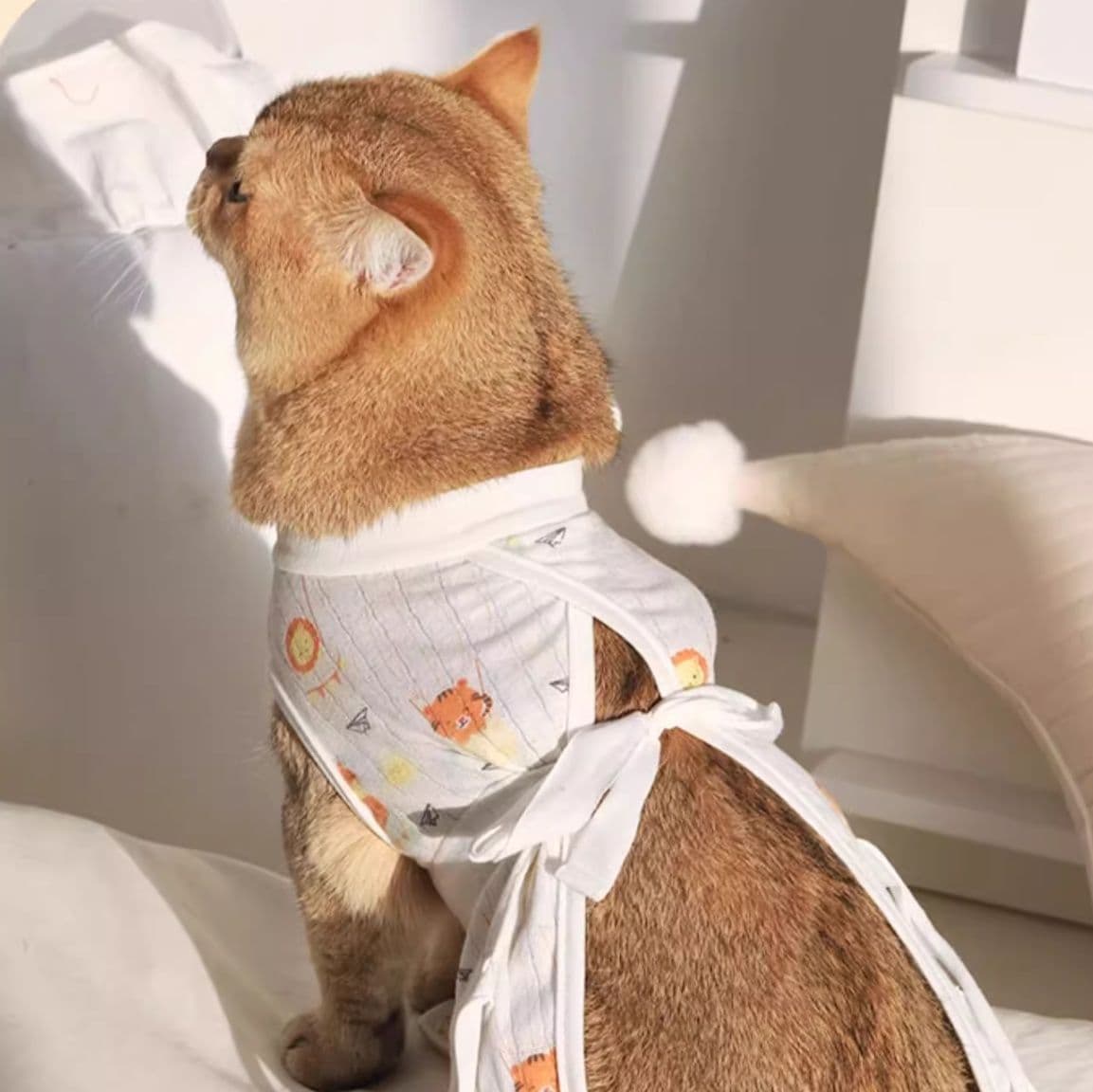猫服  いちごリボン甚平