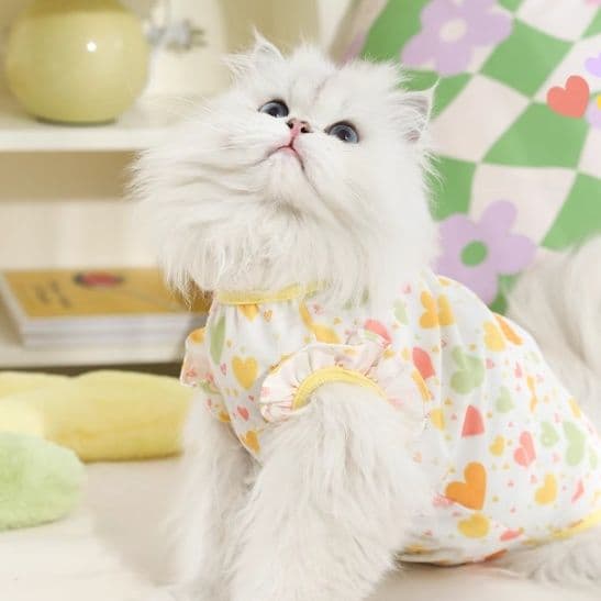 猫服  ハートいっぱい術後服