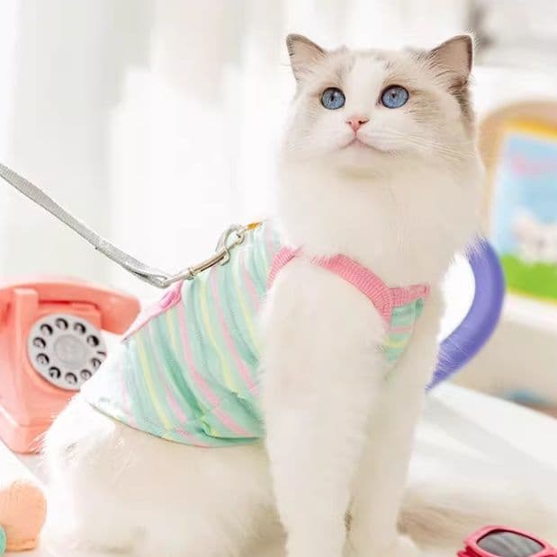 猫服  パステルボーダーポケット付きハーネス