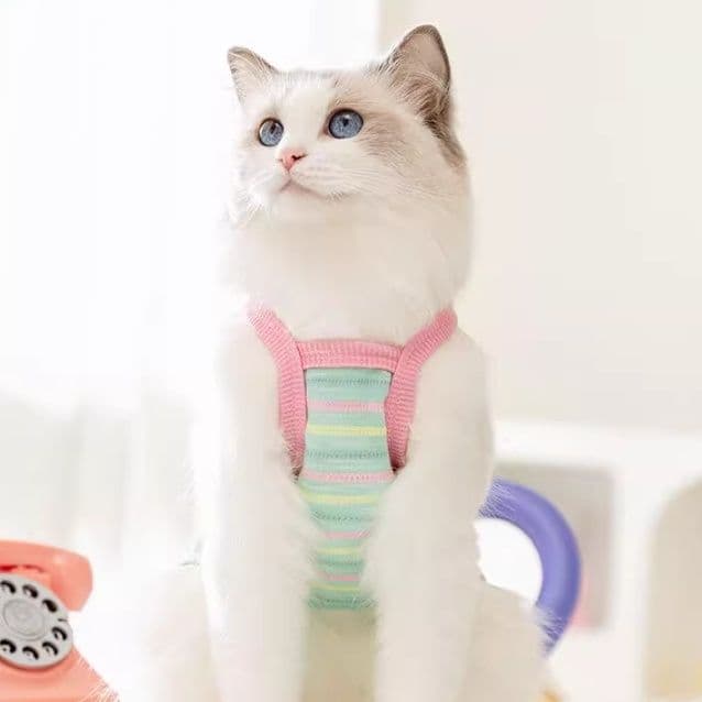 猫服  パステルボーダーポケット付きハーネス