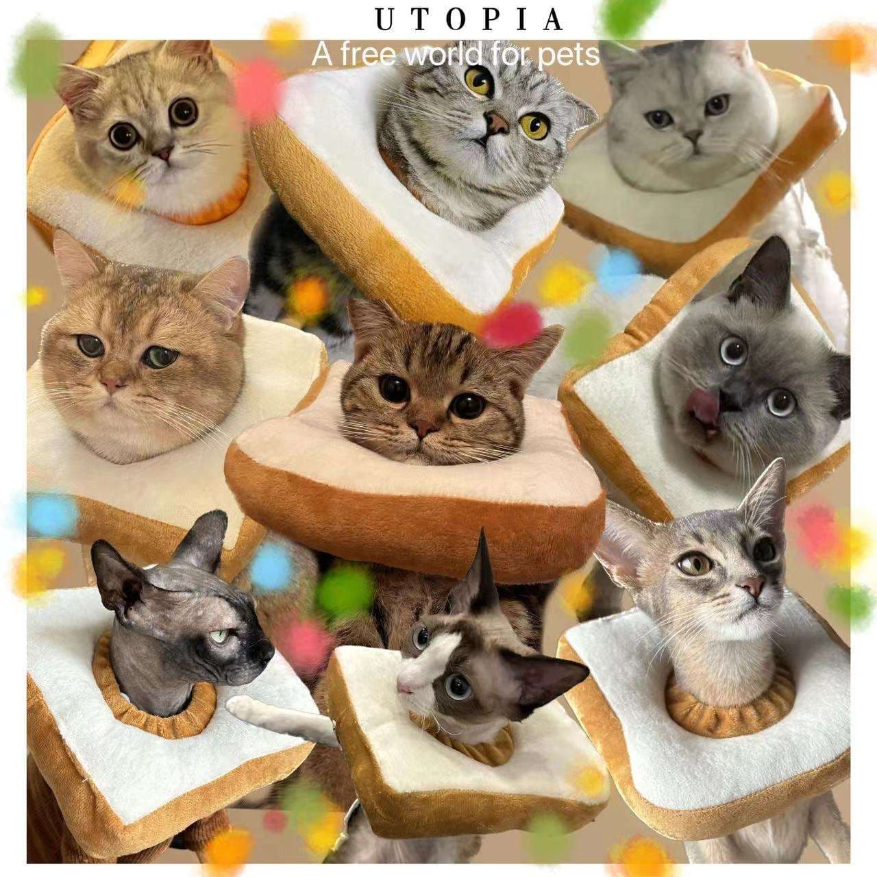 猫服 猫 エリザベスカラー | もちもちトースト型ペット用エリザベスカラー