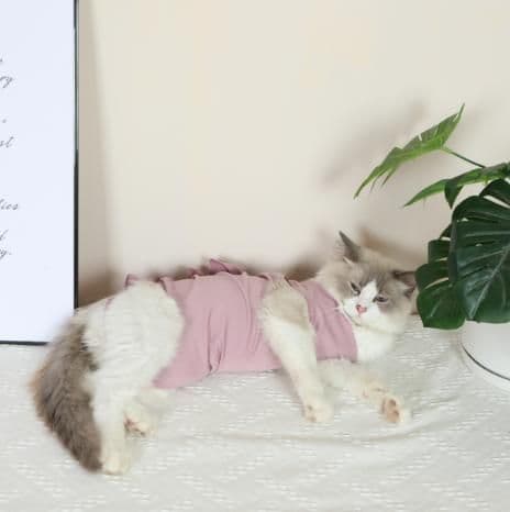 猫服  術後服 | ふわもこ猫ちゃん術後ウェア