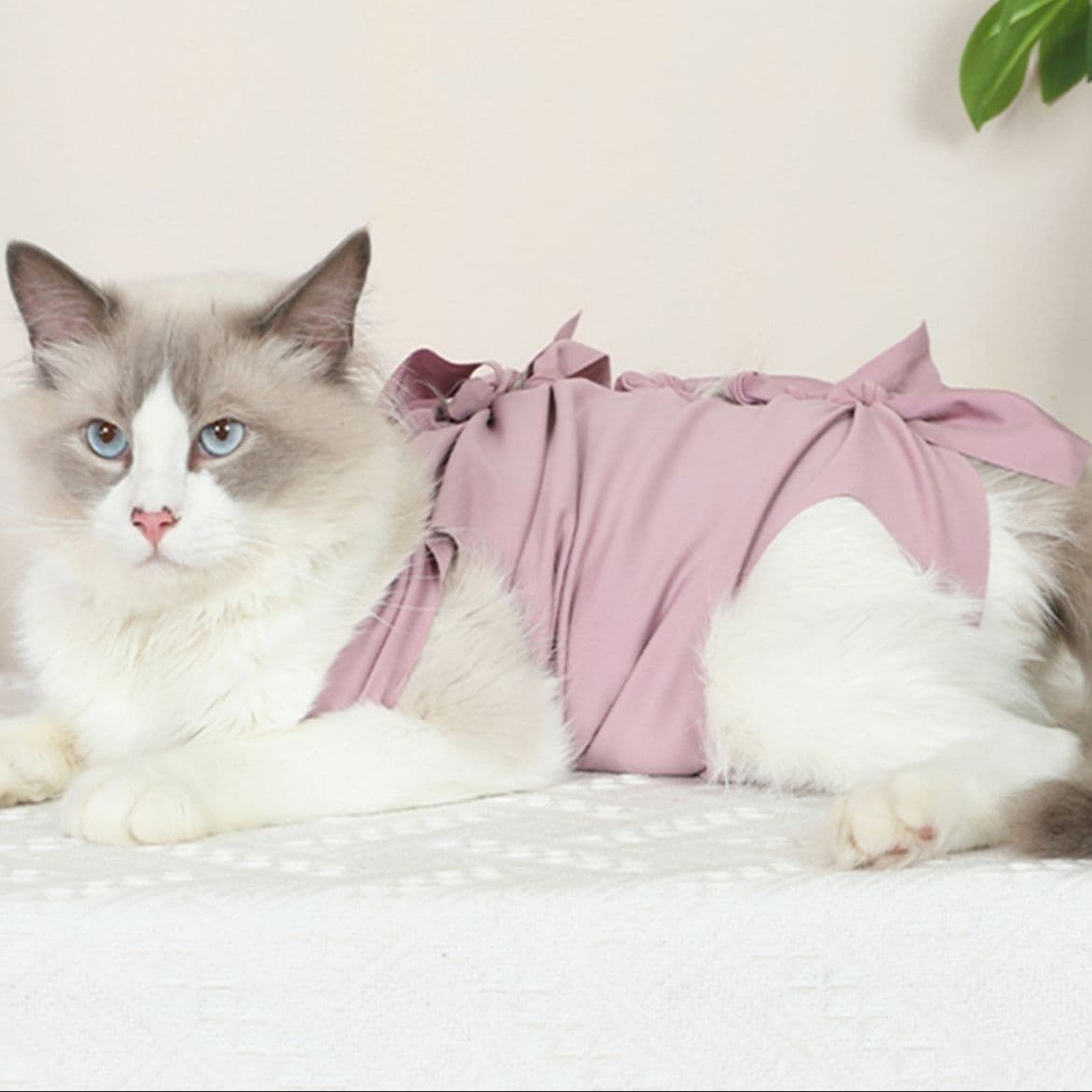猫服  術後服 | ふわもこ猫ちゃん術後ウェア