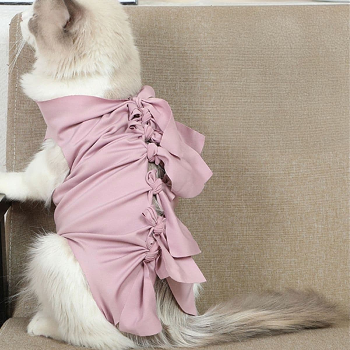 猫服  術後服 | ふわもこ猫ちゃん術後ウェア