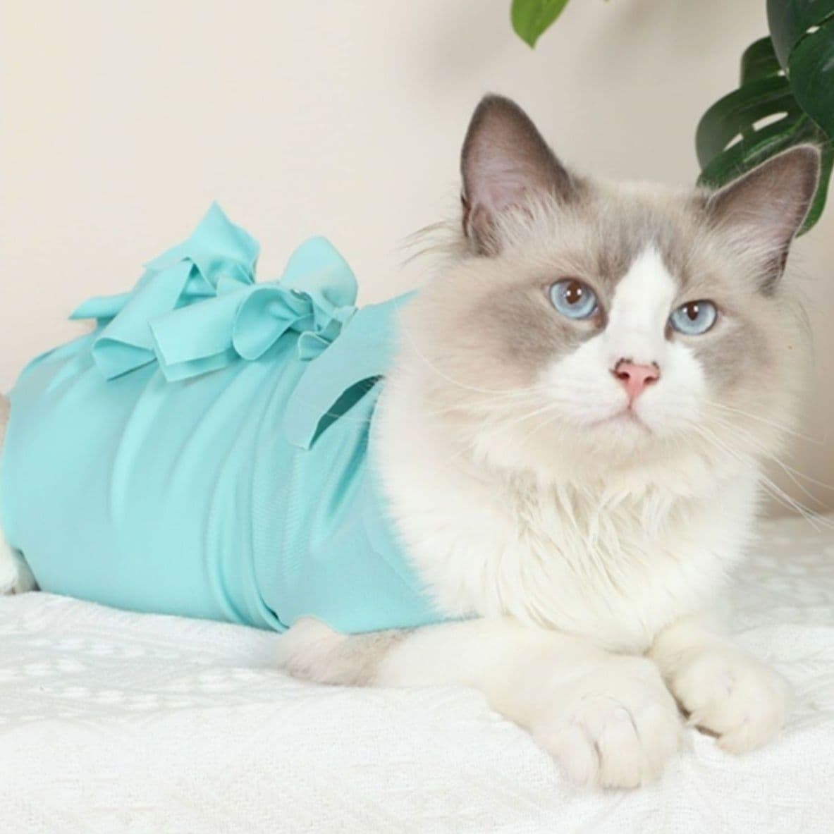 猫服  術後服 | ふわもこ猫ちゃん術後ウェア