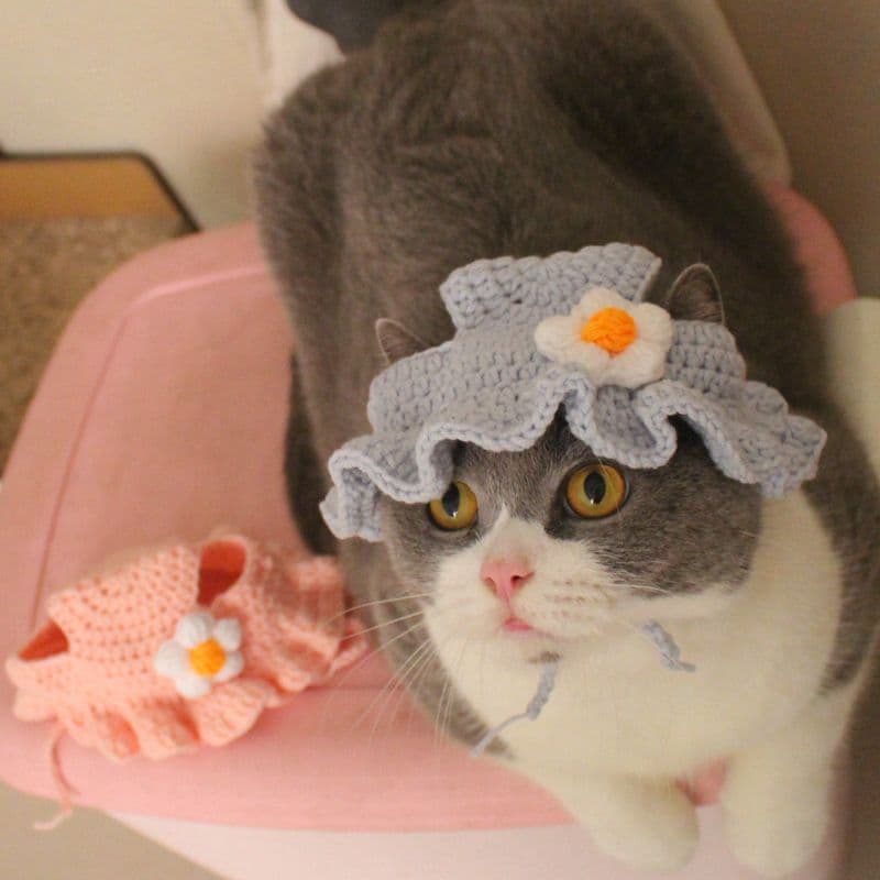 猫服  帽子 | にゃんこのコスプレ帽子3種セット