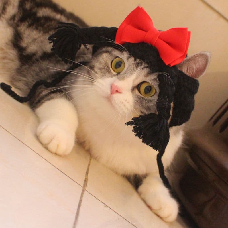 猫服  帽子 | にゃんこのコスプレ帽子3種セット