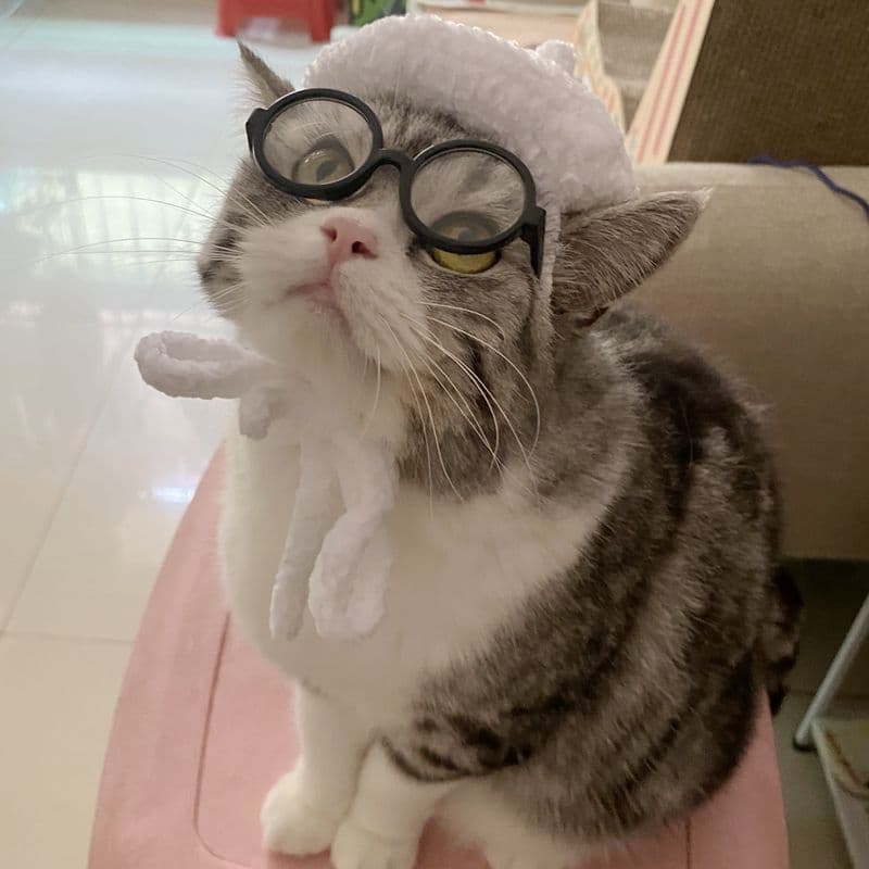 猫服  帽子 | にゃんこのコスプレ帽子3種セット
