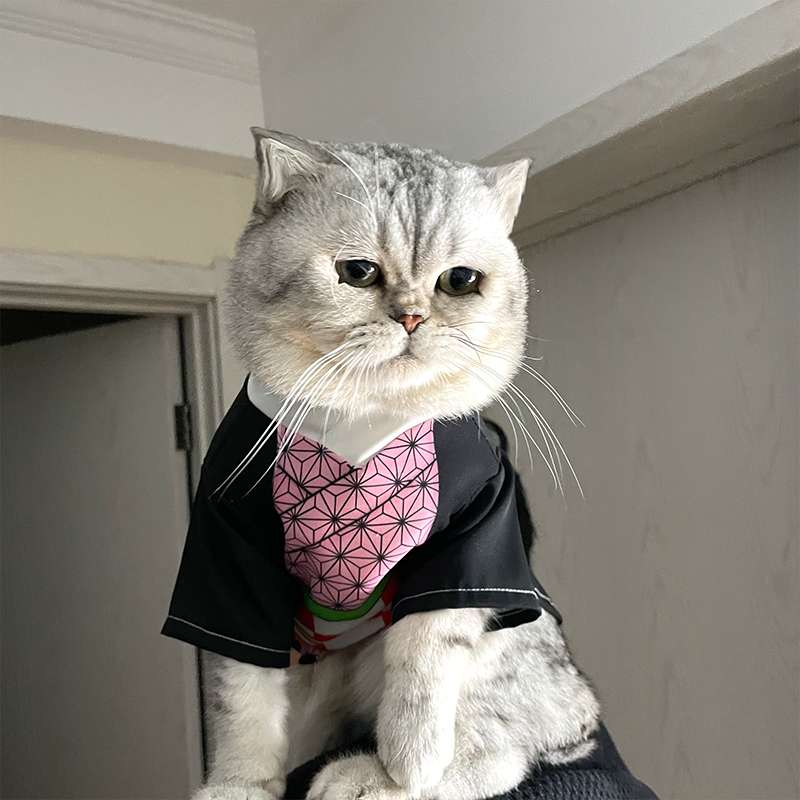 猫服  コスプレ | 忍者猫変身セット 〜和風モダンスタイル〜