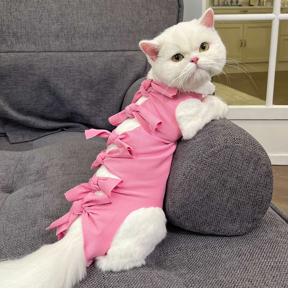 猫服  術後服 | もふもふ猫ちゃんの癒しリボン術後服