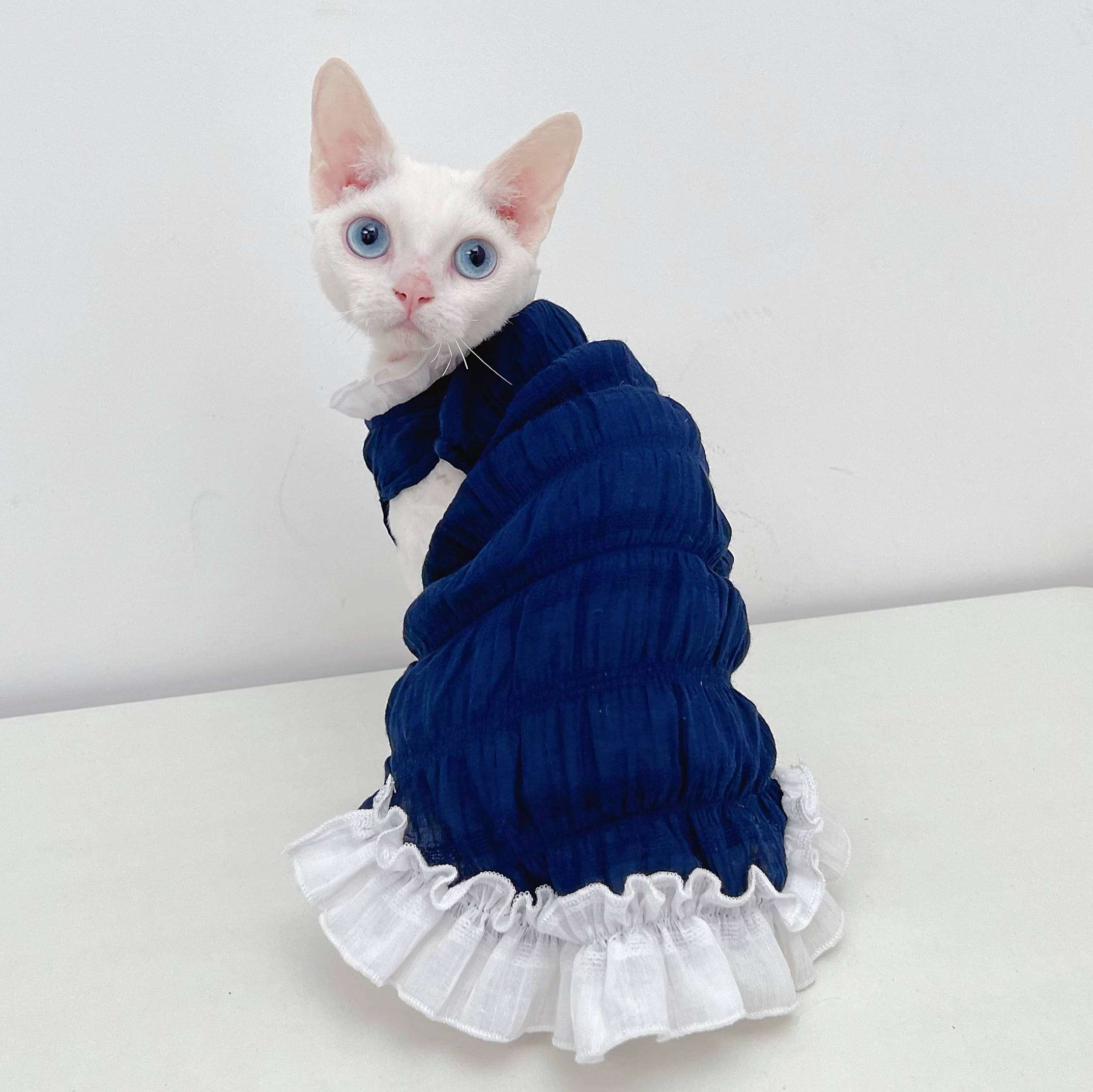 猫服 猫 エリザベスカラー | ふりふりメイド風エリザベスカラー