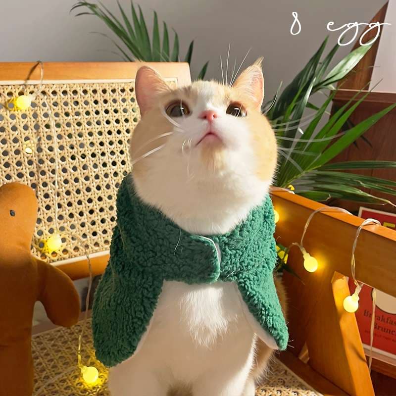 猫服  コスプレ | ペット用ホリデーコスチューム3点セット
