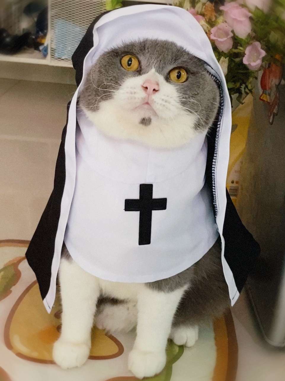 猫服  コスプレ | ねこ修道女コスチューム