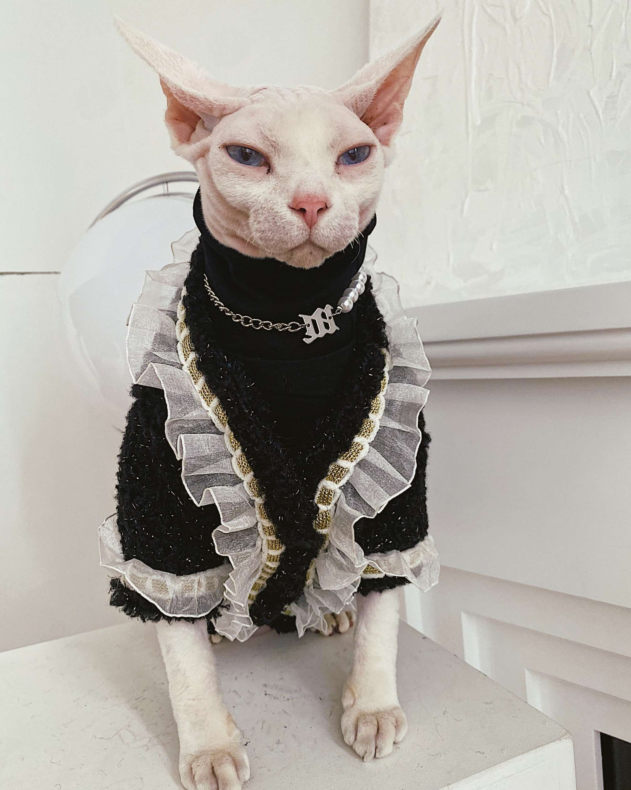 猫服  スフィンクス | 貴族風フリルドレス スフィンクス用