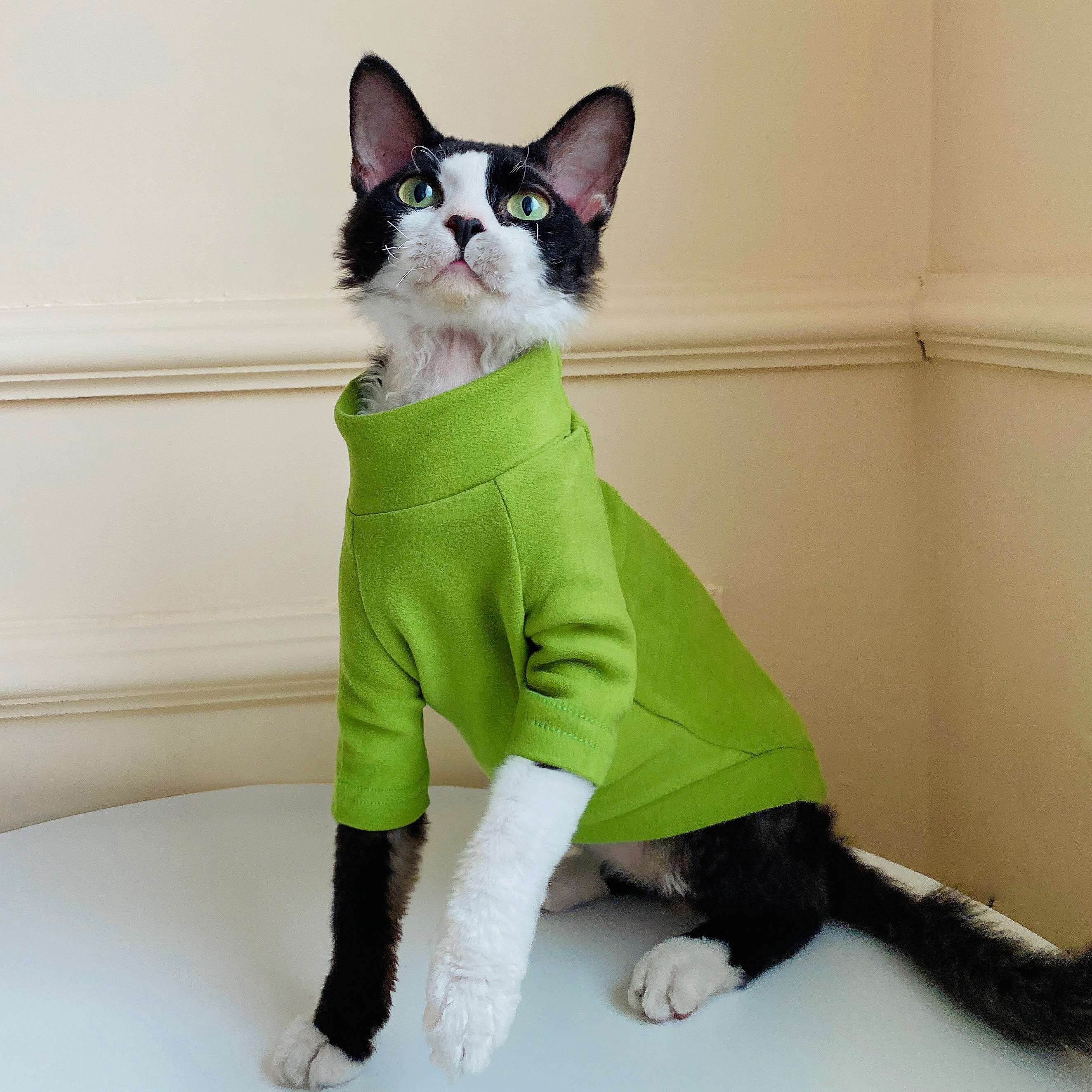 猫服  術後服 | にゃんこの優しい術後ウェア