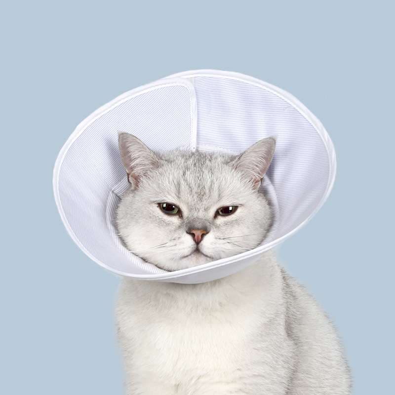 猫服 猫 エリザベスカラー | 猫専用のふわふわ快適エリザベスカラー