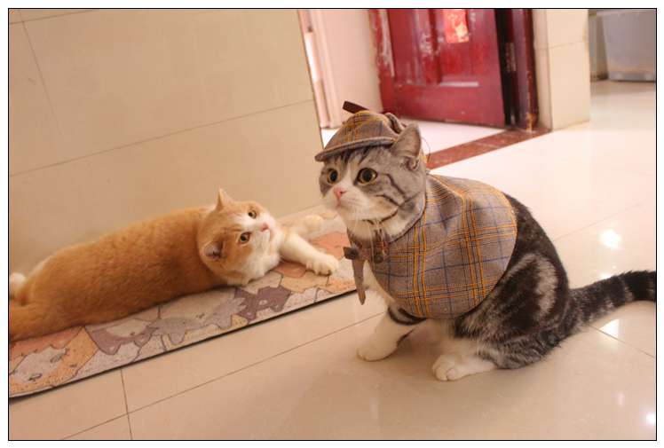 猫服  コスプレ | 猫用探偵風チェック柄ケープ帽子セット