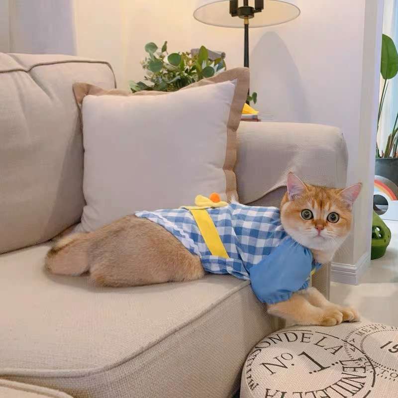 猫服  洋服 | 猫用チェック柄オーバーオール