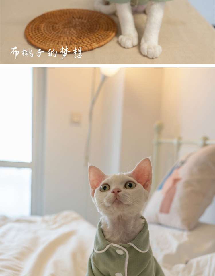猫服  防寒服 | もふもふ猫ちゃんのおうち着