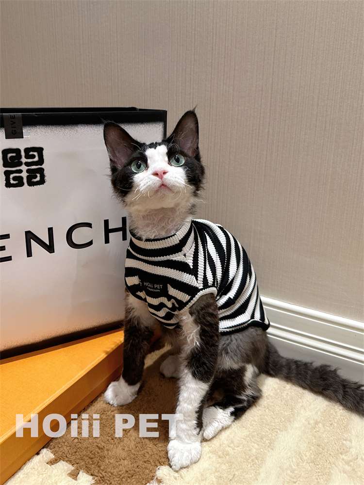 猫服  洋服 | モダンボーダー柄キャットウェア