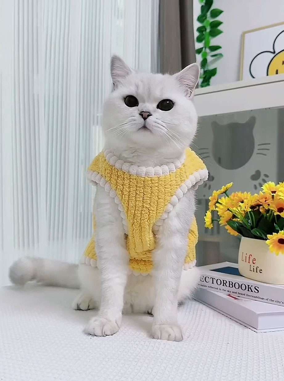 猫服  防寒服 | もこもこペット用コーデュロイベスト