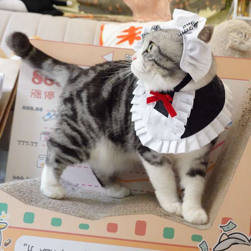 猫服  コスプレ | メイド風フリルエプロン猫用コスチューム