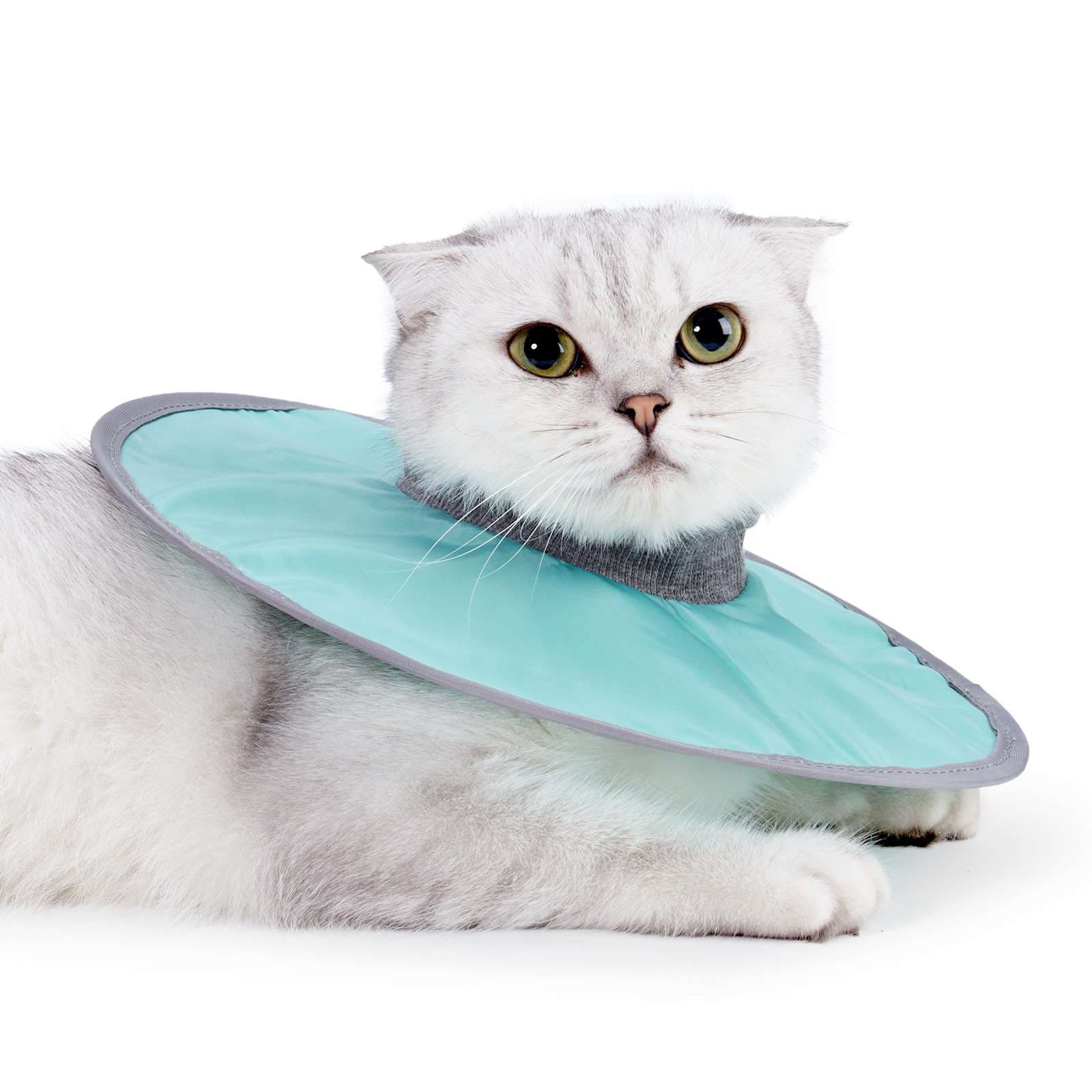 猫服 猫 エリザベスカラー | もふもふ猫さま用やすらぎカラー