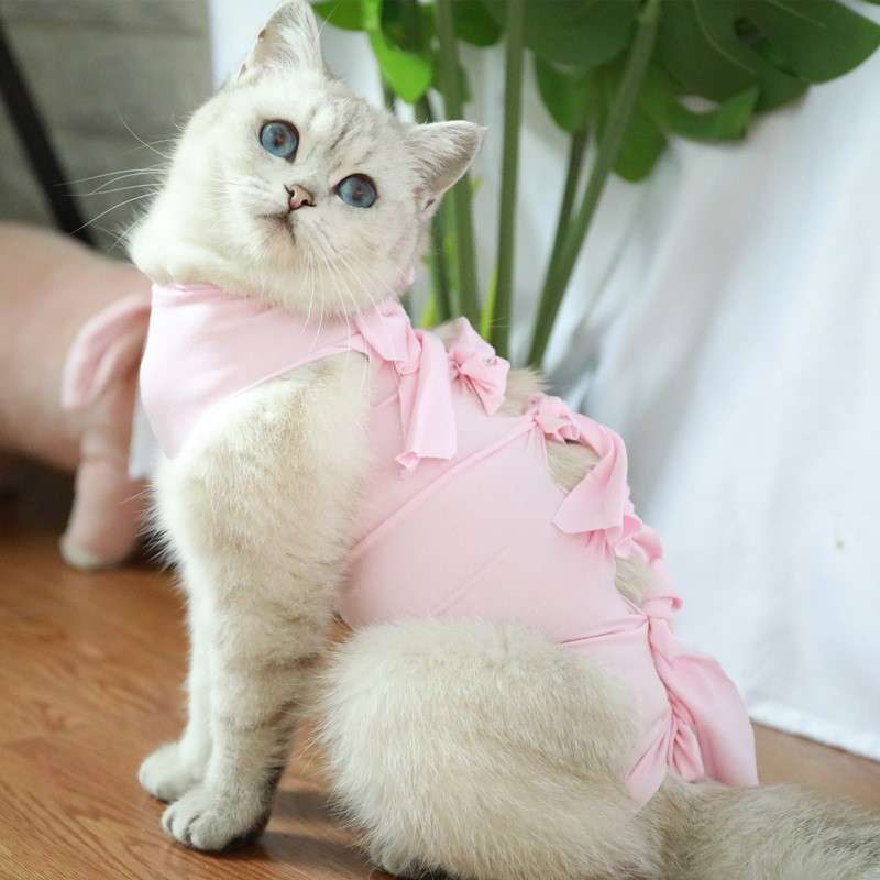 猫服  術後服 | ふわもこリボン付き猫用術後服