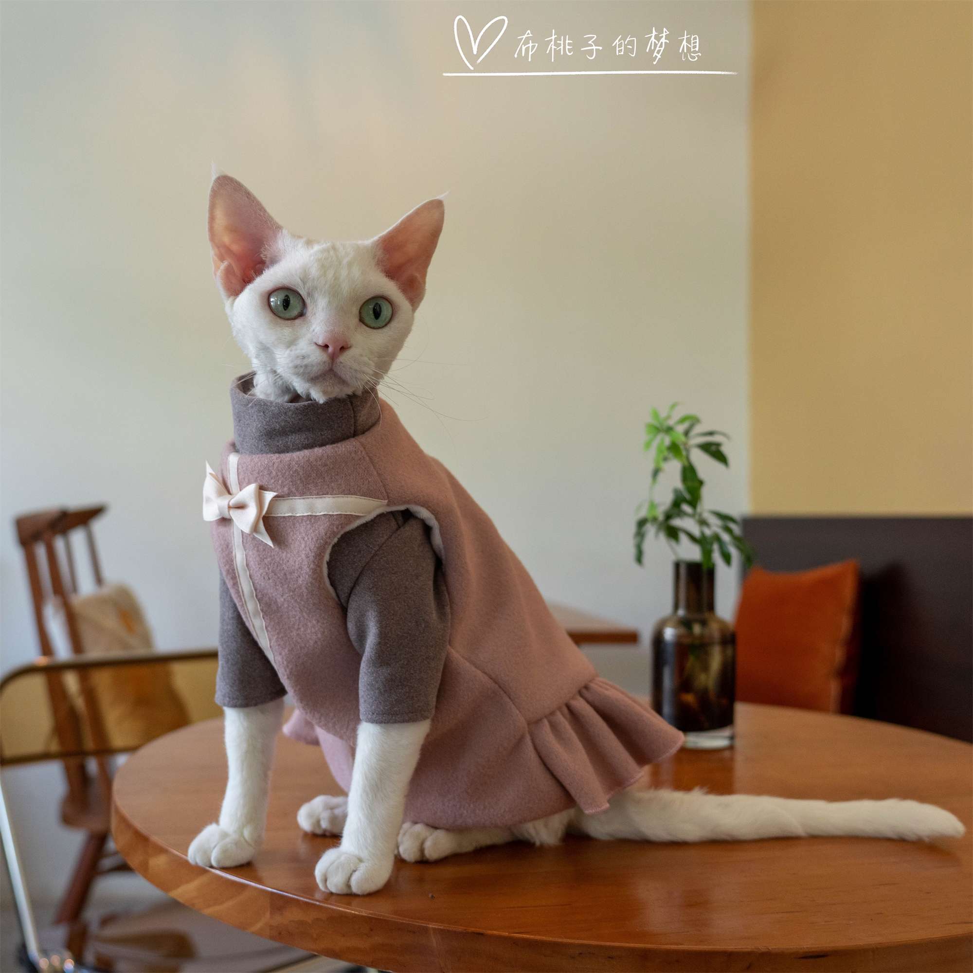 猫服  洋服 | ふわもこ猫ちゃんドレスコート