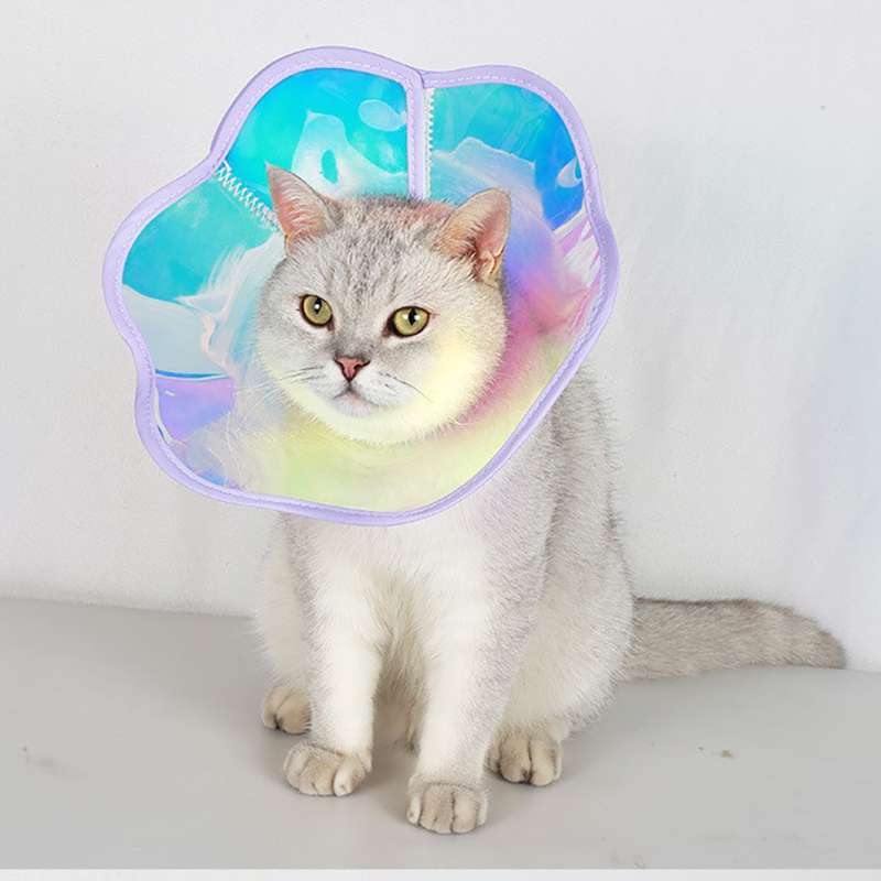猫服 猫 エリザベスカラー | キラキラ虹色ペットの宇宙エリザベスカラー